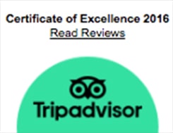 tripadvisor