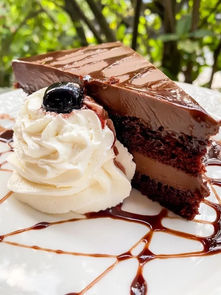 228924996-4854778824552063-3844700791618569561-n_library_74307