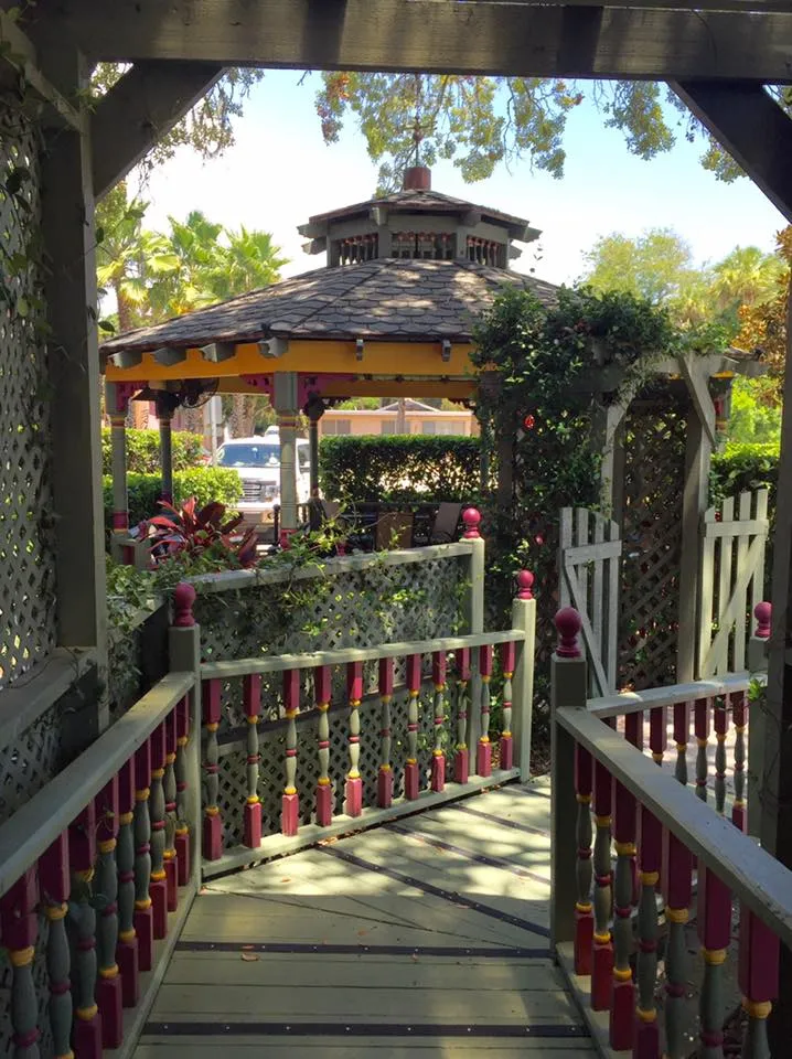 23722777-1906811429348832-3201986252970626274-n_library_74313