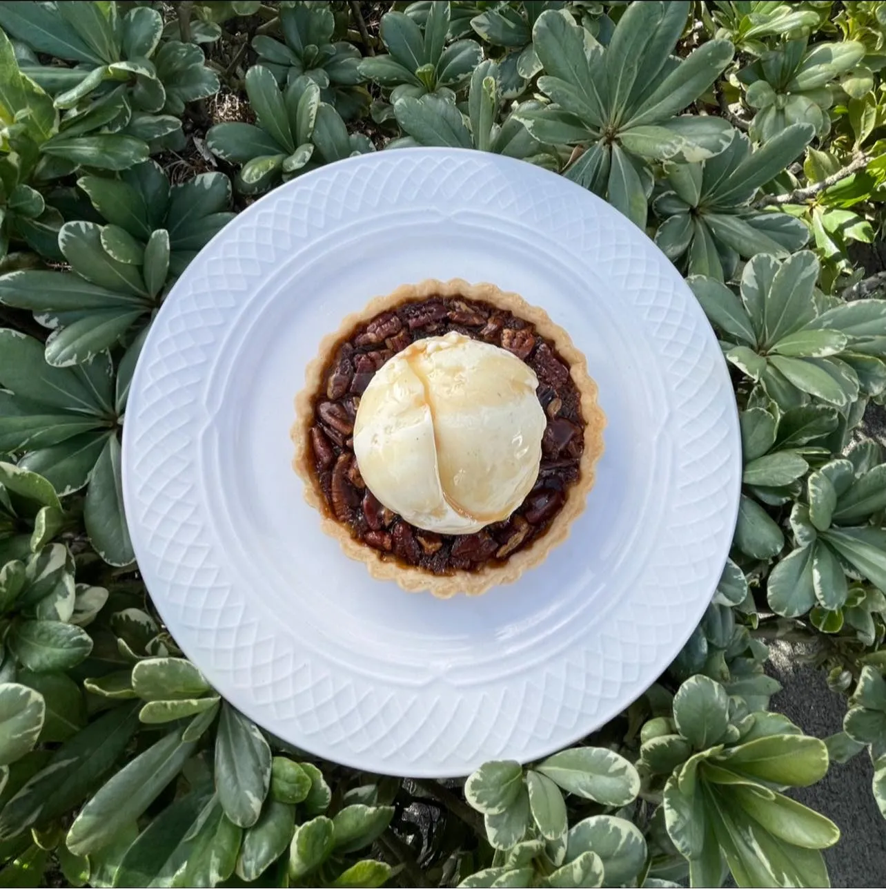 241975194-4986577841372160-7497346872041957980-n_library_74319