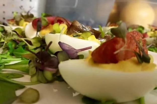 deviledeggs_library_74251
