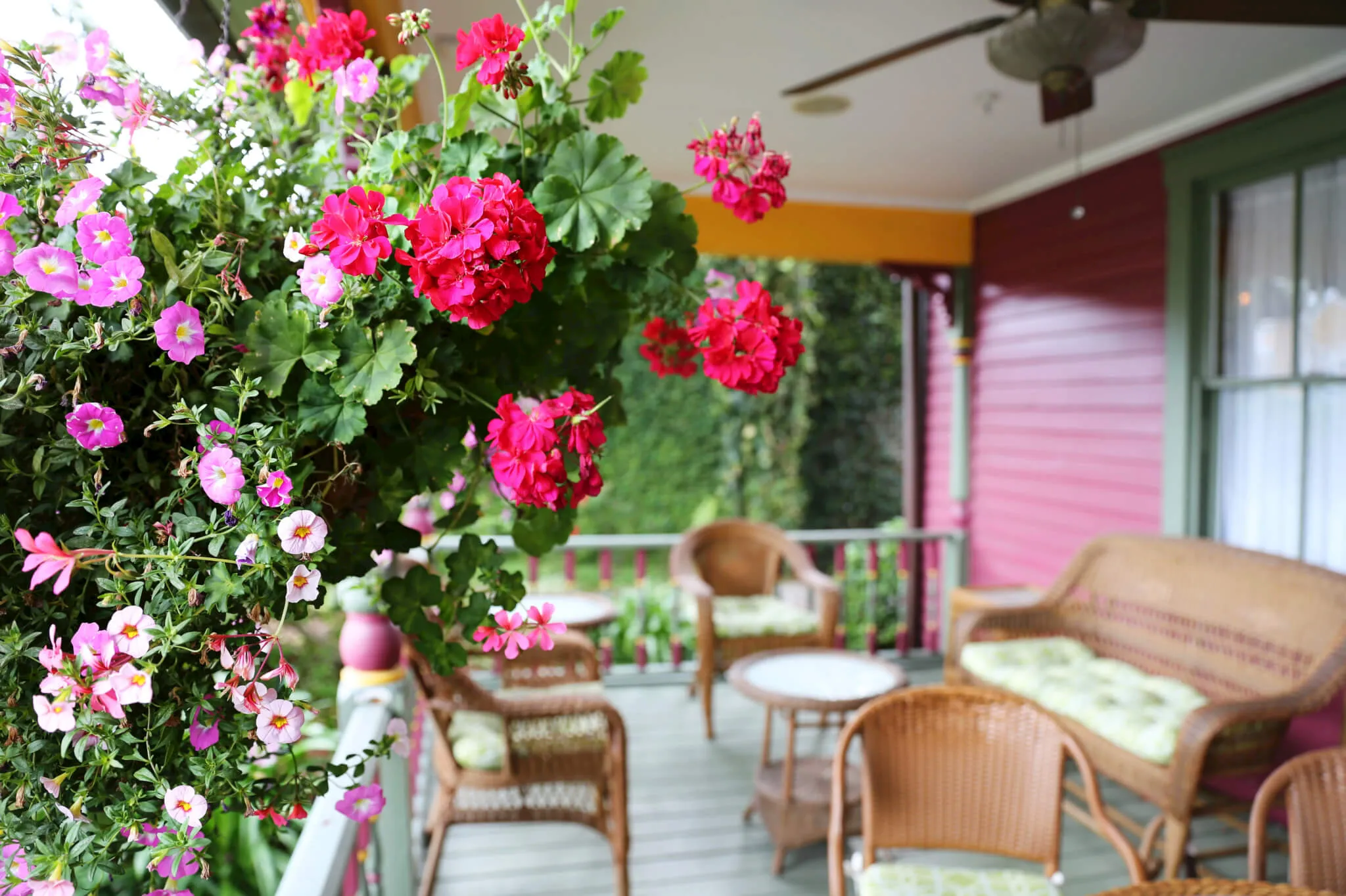 img-5095_library_74369